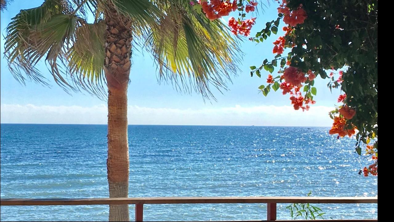 Sitio de Calahonda Mi Capricho Beachfront- 3-7 Apartment With Sea Views מראה חיצוני תמונה